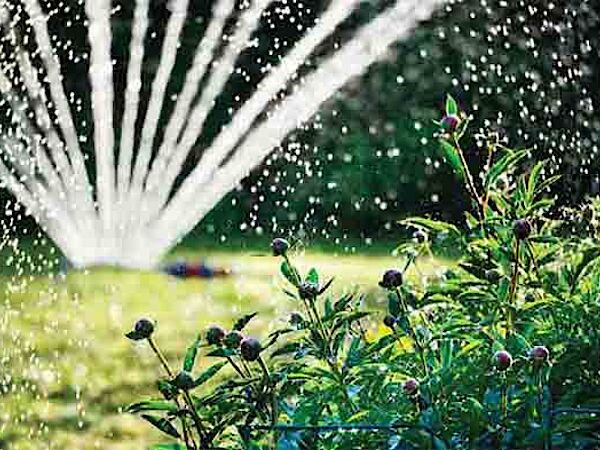 Smart garden irrigation display